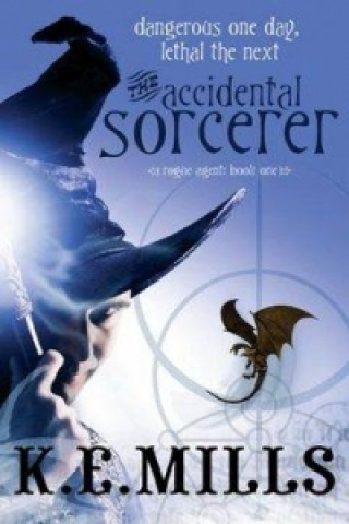 Accidental Sorcerer