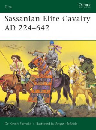Sassanian Elite Cavalry AD 224-642