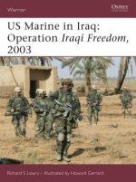 Us Marine in Iraq