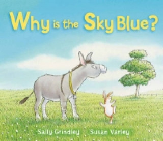 Why Is The Sky Blue?
