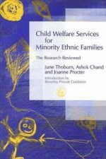 Child Welfare Services for Minority Ethnic Families