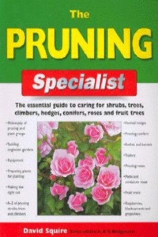 Pruning Specialist