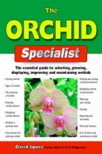 Orchid Specialist