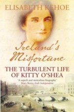 Ireland's Misfortune