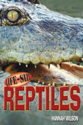 Life-size Reptiles