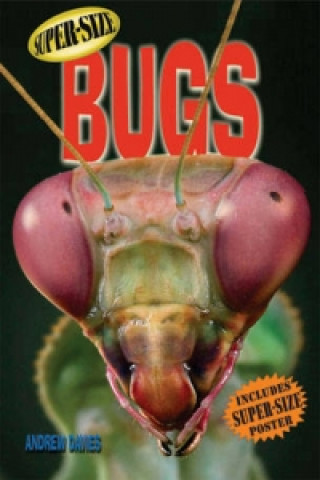 Super-size Bugs