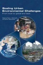 Scaling Urban Environmental Challenges