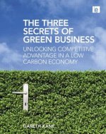 Three Secrets of Green Business