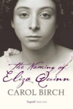 Naming Of Eliza Quinn