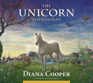 Unicorn Meditation
