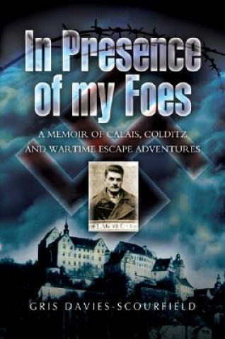 In Presence of My Foes: from Calais to Colditz Via the Polish Underground