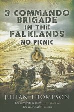 3 Commando Brigade in the Falklands: No Picnic