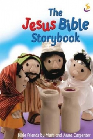 Jesus Bible Storybook