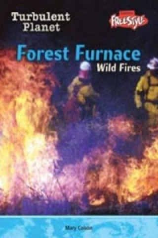 Forest Furnace