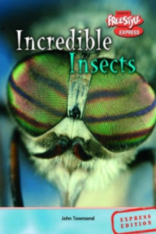 Freestyle Express Incredible Creatures Insects Hardback