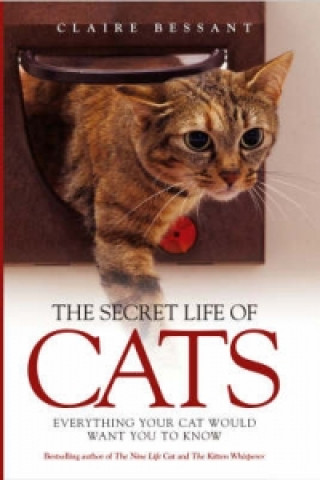 Secret Life of Cats