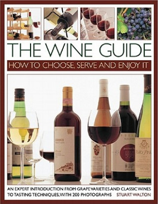 Wine Guide: How to Choose, Serve and Enjoy it