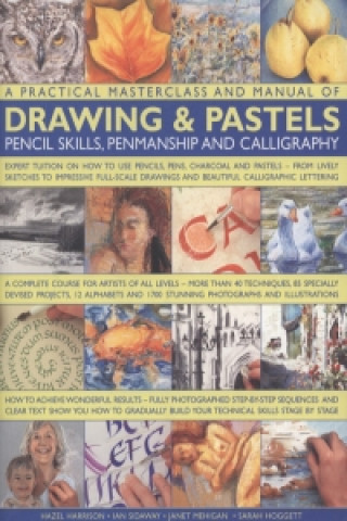 Practical Masterclass and Manual of Drawing and Pastels, Pen