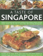 Taste of Singapore