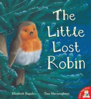 Little Lost Robin