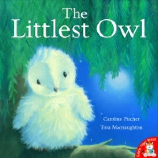 Littlest Owl