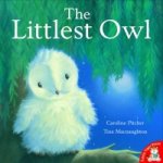 Littlest Owl