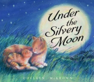Under the Silvery Moon