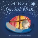 Very Special Wish