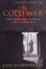Brief History of the Cold War
