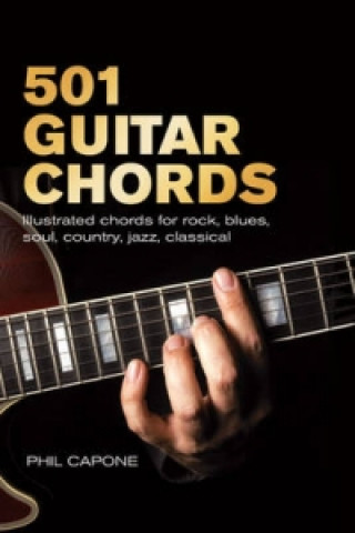 501 Guitar Chords