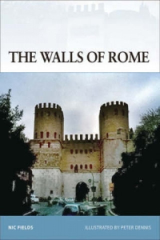 Walls of Rome