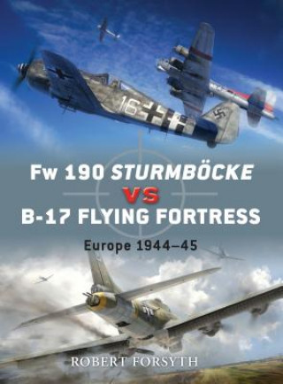 Fw 190 Sturmboecke vs B-17 Flying Fortress