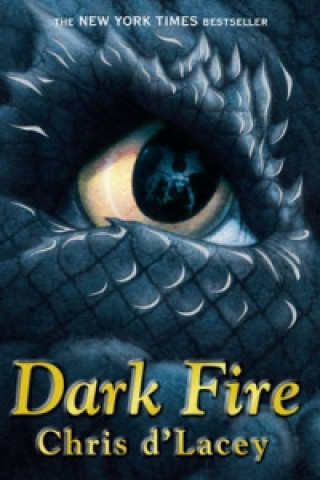 Last Dragon Chronicles: Dark Fire