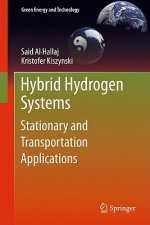 Hybrid Hydrogen Systems