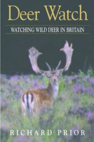 Deer Watch