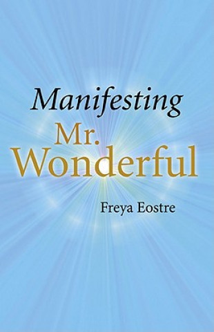 Manifesting Mr Wonderful