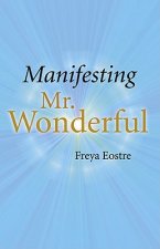 Manifesting Mr Wonderful
