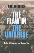 Flaw in the Universe