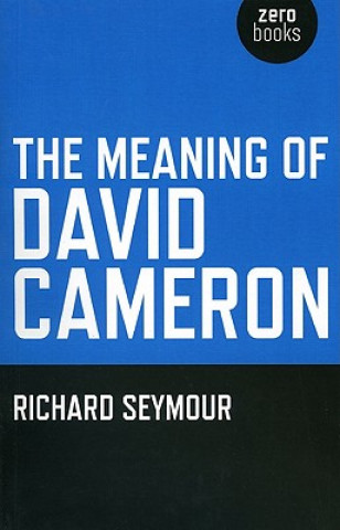 Meaning of David Cameron