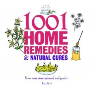 1001 Little Home Remedies