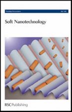 Soft Nanotechnology
