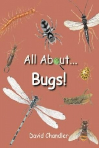 All About Bugs