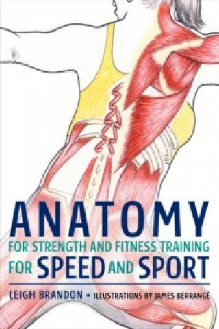Anatomy for Strength and Fitness Training for Speed and Spor