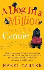 Dog in a Million