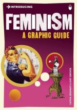 Introducing Feminism