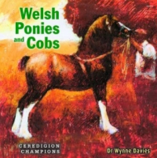 Welsh Ponies and Cobs - Ceredigion Champions