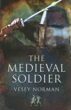 Medieval Soldier
