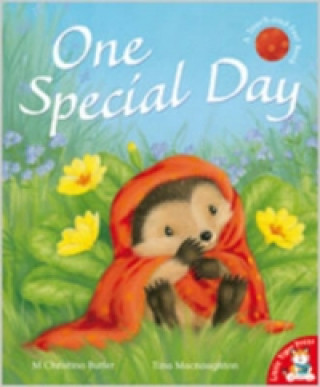 One Special Day