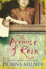 Promise of Rain