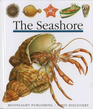 Seashore